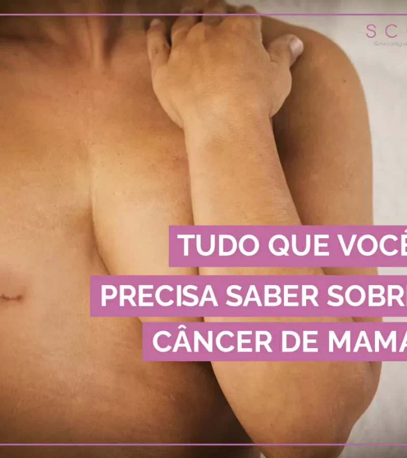 imagem-artigo-cancer-de-mama-1